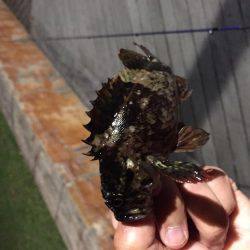 準備は万全に…