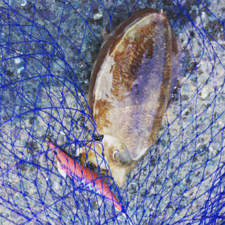 渋い中の一杯！