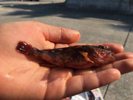 もったいない！