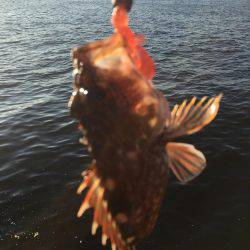 チニングに挑戦してますが