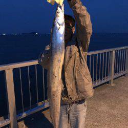 今年初のドラゴン