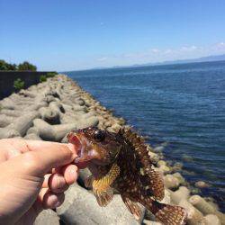 のんびり穴釣り