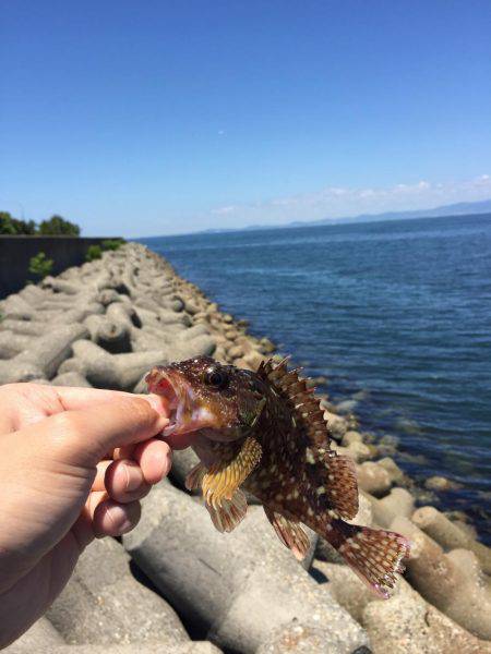 のんびり穴釣り