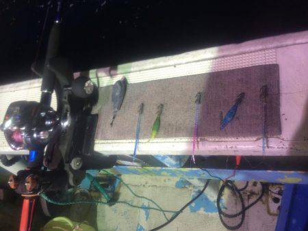 小浜港松福丸でムギイカ釣り