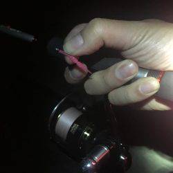 小潮のド干潮…岩屋経由育波行き