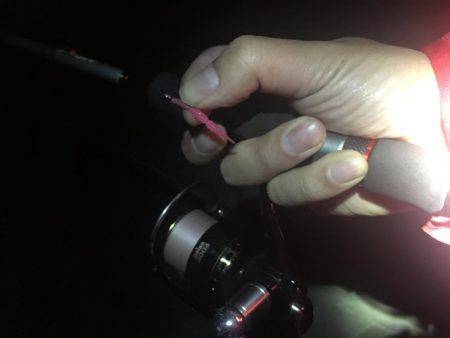 小潮のド干潮…岩屋経由育波行き