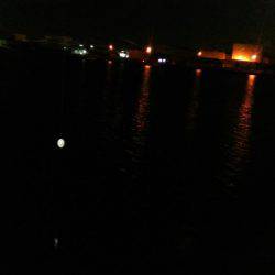 泉佐野コンビナート湾奥