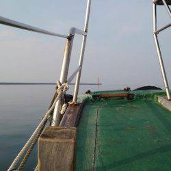 フカセ釣り初挑戦