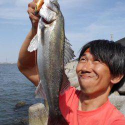 シーバスday ゲーム