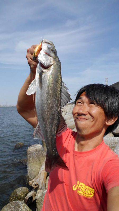 シーバスday ゲーム