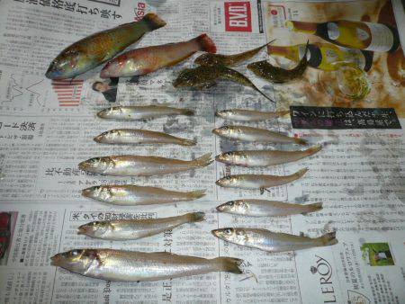 佐野白灯台でキス狙い