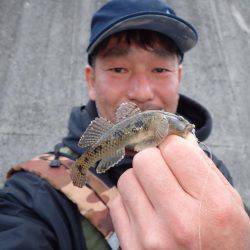 スーパーライトゲーム