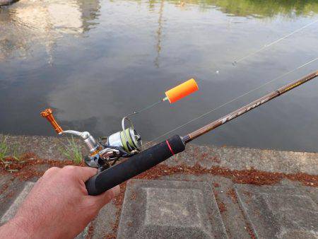 たまにはのんびりカープフィッシング