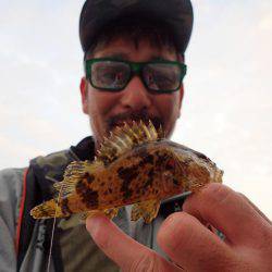 超ライトフィッシュゲーム