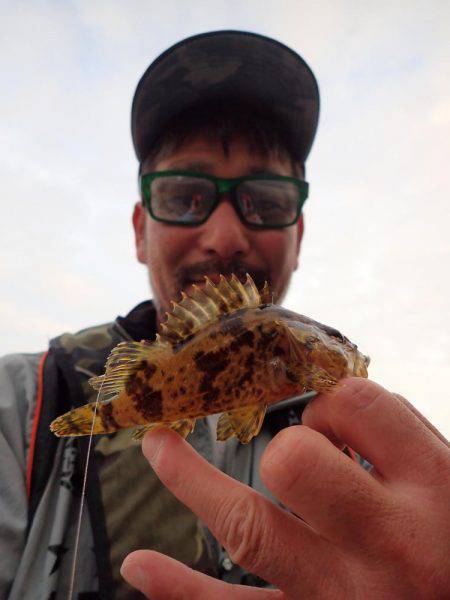 超ライトフィッシュゲーム