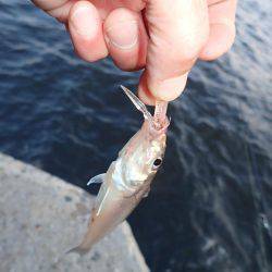 子供の送迎の合間に♪