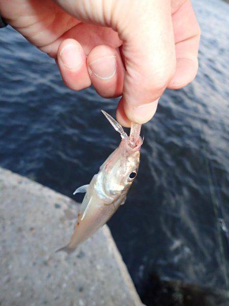 子供の送迎の合間に♪