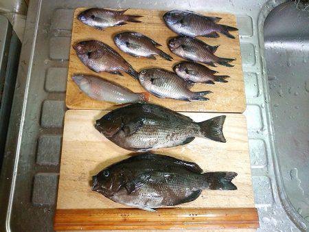 今季初グレ狙い！