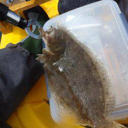 カヤックジギング