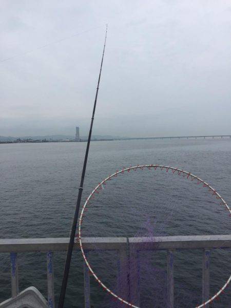 ハマチかシーバス狙いが・・・