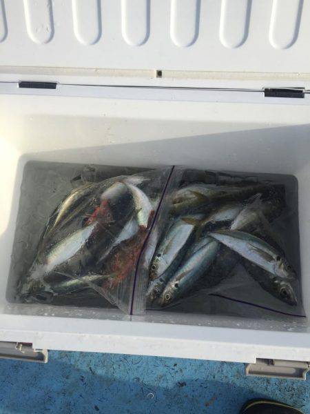 カセ釣りin串本