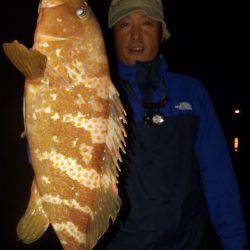 Magic(マジック) 釣果