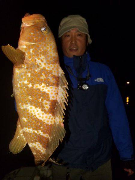 Magic(マジック) 釣果