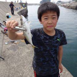 岩屋一文字に釣行