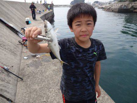 岩屋一文字に釣行