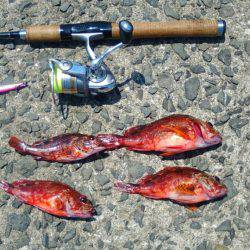 凄い人でびっくりしました。