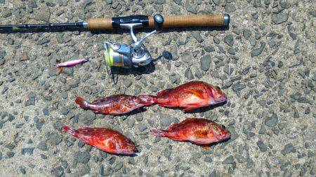 凄い人でびっくりしました。