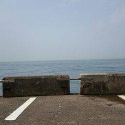 やっぱ運だよね…