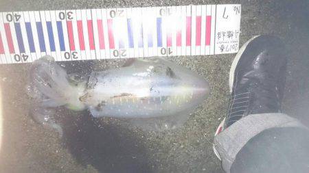 大潮の満月狙いで行って来ました。