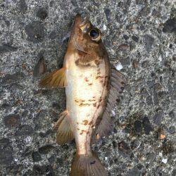 久々に海南方面へ