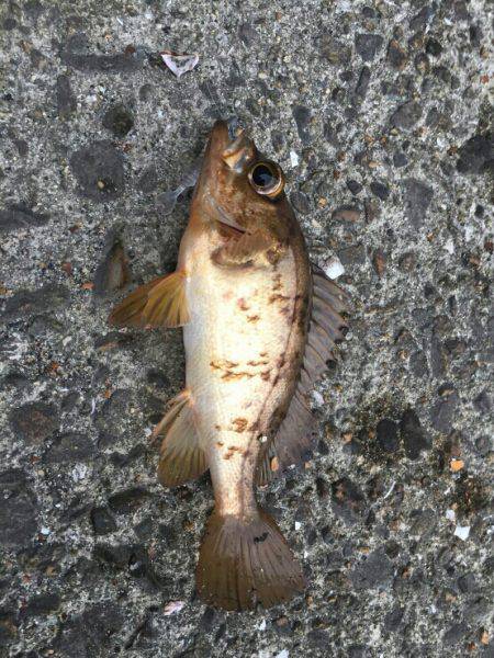 久々に海南方面へ