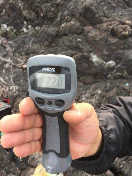 初の苅藻島初キロUP