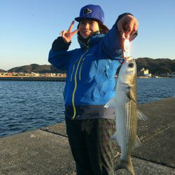 ライトショアジギング