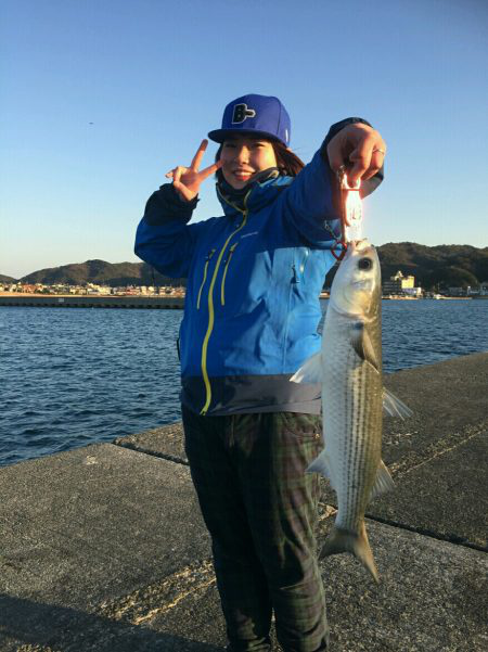 ライトショアジギング