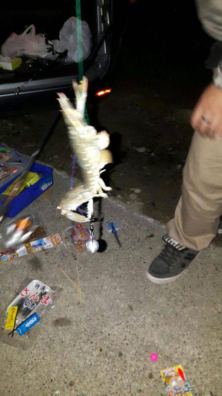 珍しくドンコこない