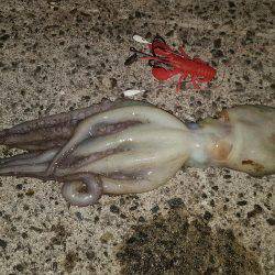 オクトパッシング。