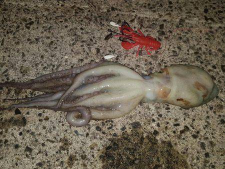 オクトパッシング。