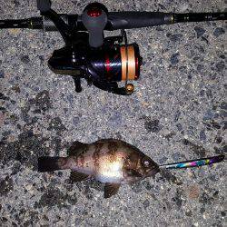 バチパターンで！！！