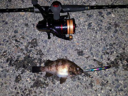 バチパターンで！！！