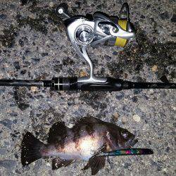 バチパターンやけど‼