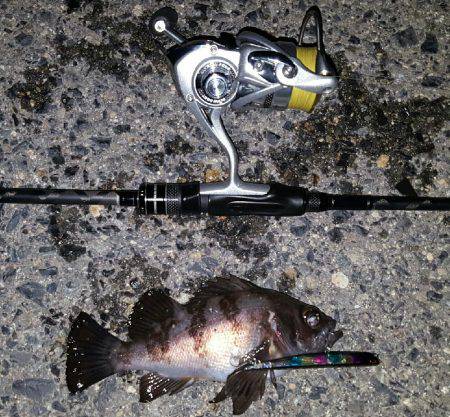 バチパターンやけど‼