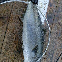 釣り堀　田尻にて