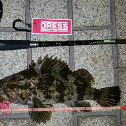 ロックロックこんばんわ‼