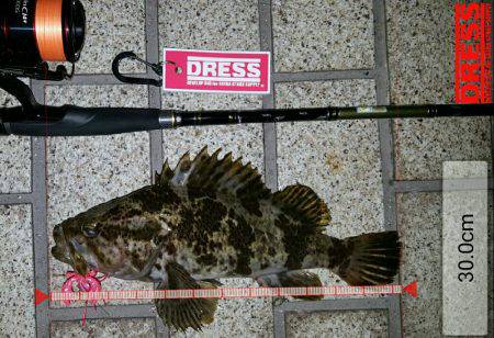 ロックロックこんばんわ‼