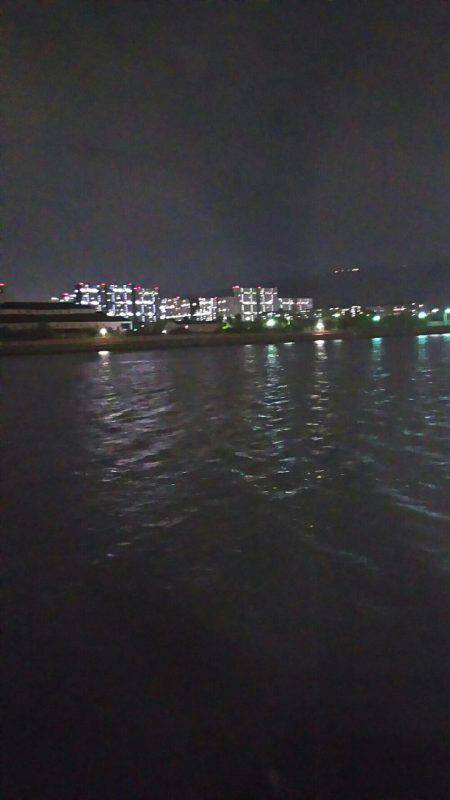 今夜もシーバス