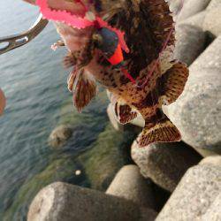 ブラクリで・・・